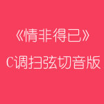 《情非得已》C调扫弦切音版