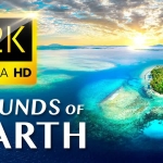 地球之声[2024纪录片]12集全