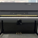 YAMAHA雅马哈SX100Bl(图片展示+视频演奏)