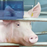 总投资40亿，全国第一家26层大楼，全自动养猪大楼