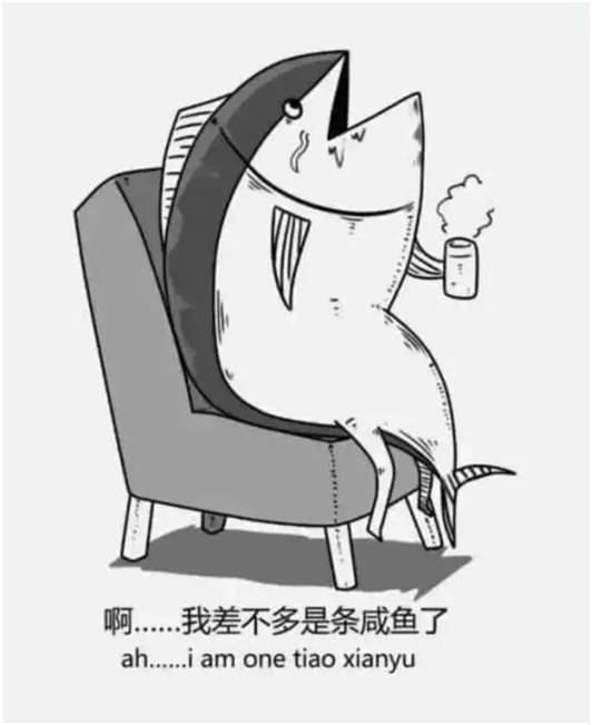 野生闲鱼